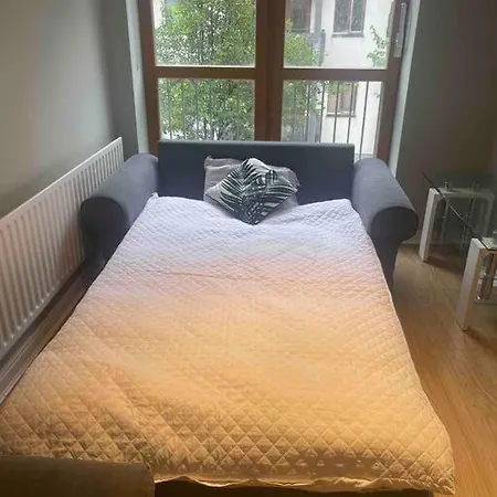 In Dublin's Tourist Spot Temple Bar Fully Renovated Διαμέρισμα