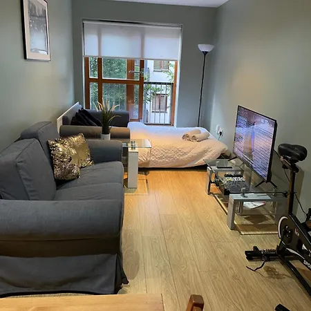 In Dublin's Tourist Spot Temple Bar Fully Renovated Apartment Dublin