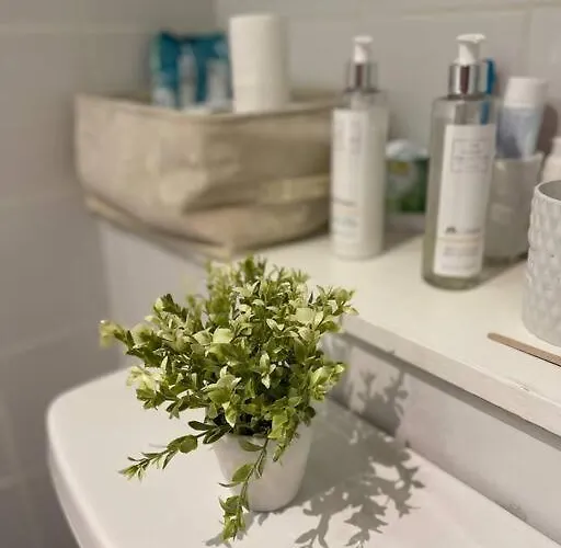 In Dublin's Tourist Spot Temple Bar Fully Renovated דירה דבלין