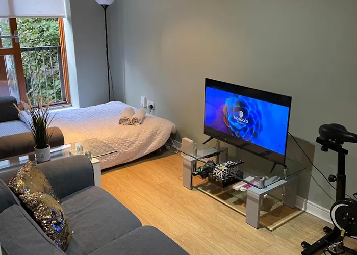 דירה In Dublin's Tourist Spot Temple Bar Fully Renovated *