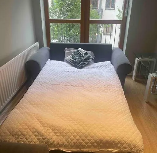 In Dublin's Tourist Spot Temple Bar Fully Renovated Daire