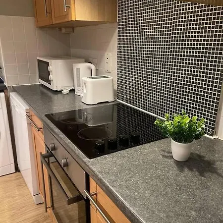 Appartement In Dublin's Tourist Spot Temple Bar Fully Renovated *