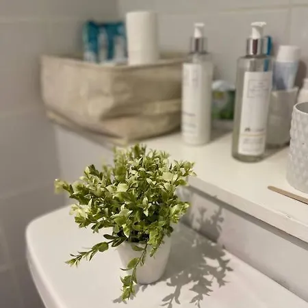 In Dublin's Tourist Spot Temple Bar Fully Renovated Appartement Dublin